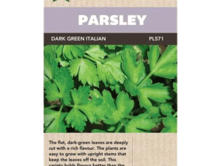 West Coast Seeds Dark Green Italian Plain Parsley Seeds - 600 Seeds Sale