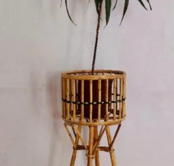 Tall Bamboo Planter Online Hot Sale