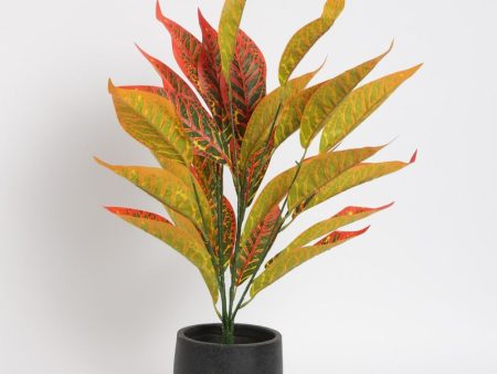 Artificial Iceton Croton 26 Leaves Plant Without Pot | 2 Feet Discount