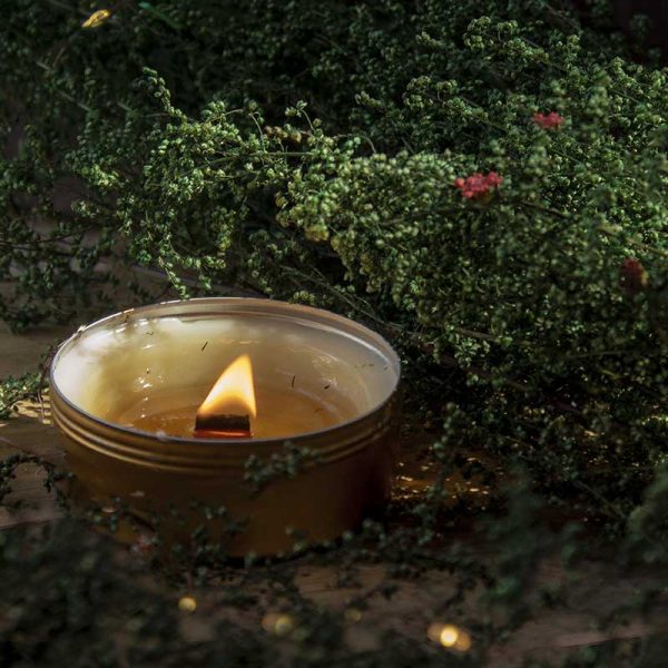 Enchanted Forest Scented Candle | Single | 8.1 x 3.1 cm   3.2 x 1.2 inches Fashion