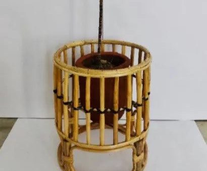 Elevated Bamboo Planter Online Sale