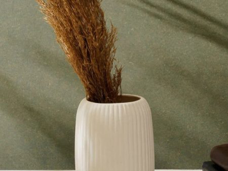 Big White Ivory Ceramic Vase | 5 Inches For Cheap