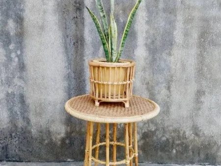 Vertical Bars Bamboo Planter Sale