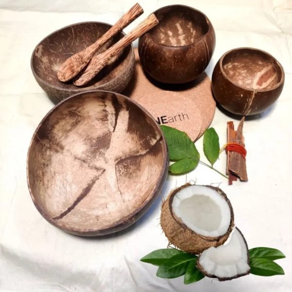 Classic Coconut Shell Bowl Set | Set of 4 Supply