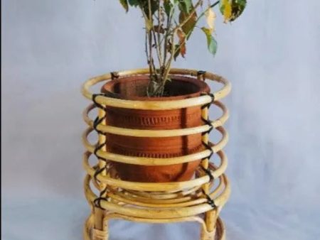 Horizon Bamboo Planter | 12 x 14 inches Cheap