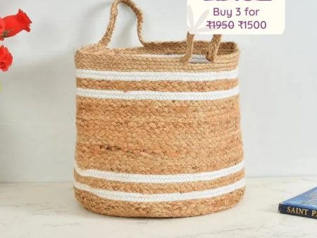 Braided Jute Cotton Basket | 12 Inches Online