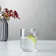 Juno Tumblers (Set of 2) Online