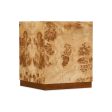 M by Hooker Auberon Burl Side Table For Discount