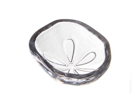 Sand Dollar Bowl (Set of 2) Discount