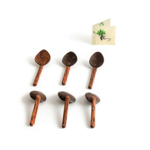 Coconut Shell Masala Spoon | Set Of 6 Cheap