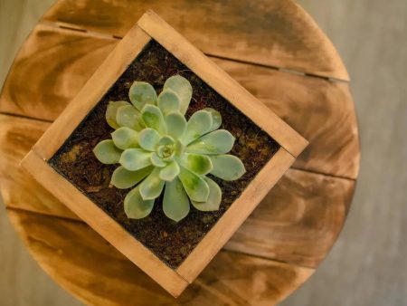 Cube Planter in Pine Wood | Natural | Plant Not Included Cheap