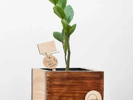 Cube Planters | Set of 3 Online Sale